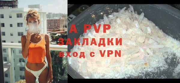 бошки Галич