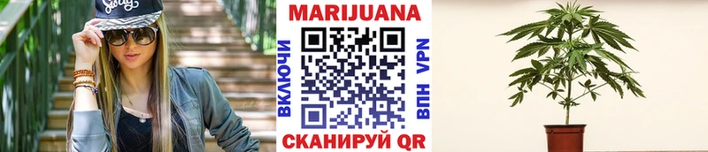 как найти наркотики  Калтан  Канабис марихуана 